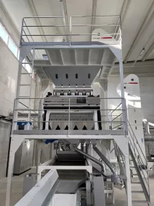 Pulses Sorting: Enhancing Quality with Advanced Color Sorter Machine