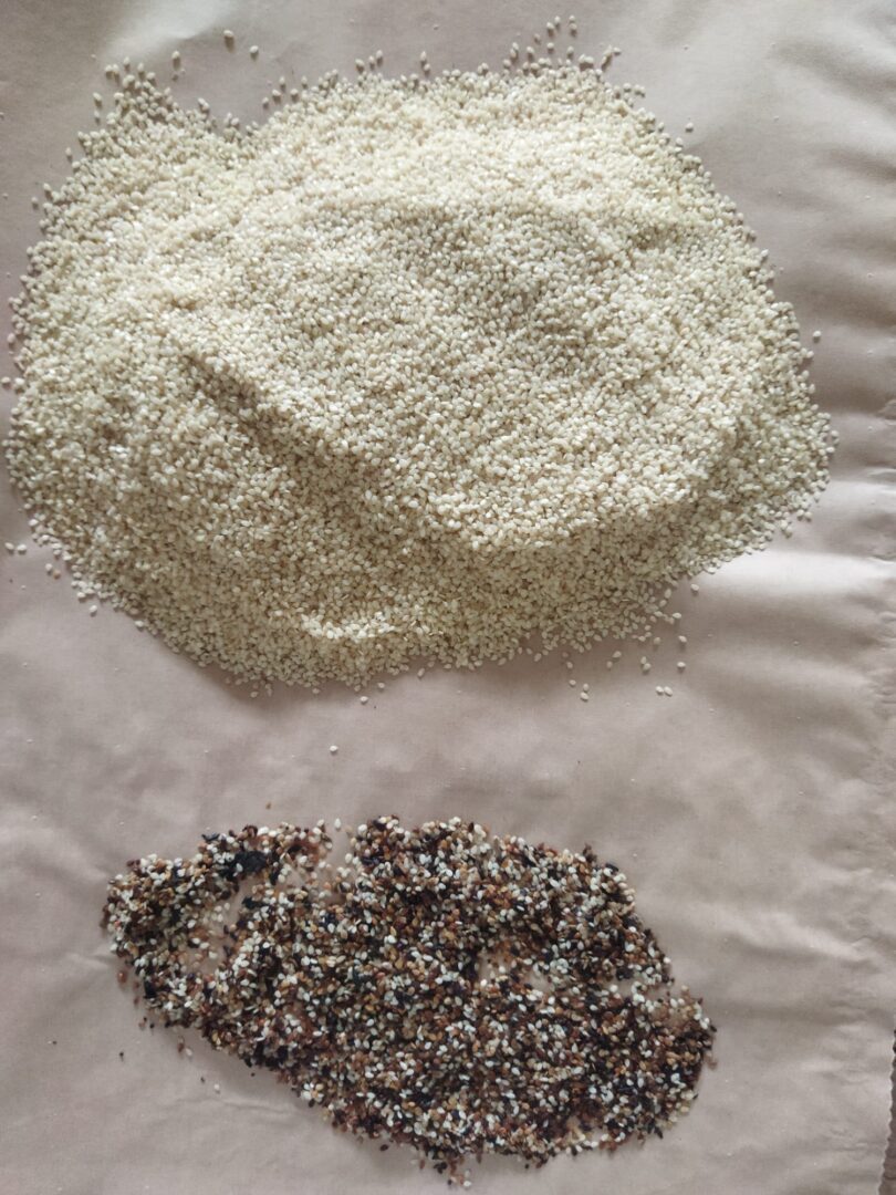 C-2 Color Sorter Two Channel - Image 15