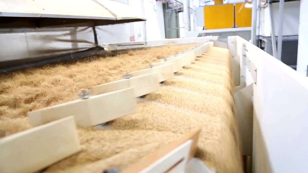Mmctech – Advanced Seed Processing Machines & Equipment