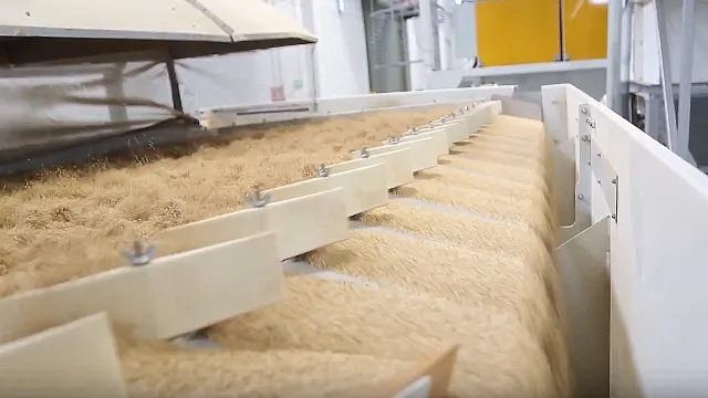 Mmctech – Advanced Seed Processing Machines & Equipment